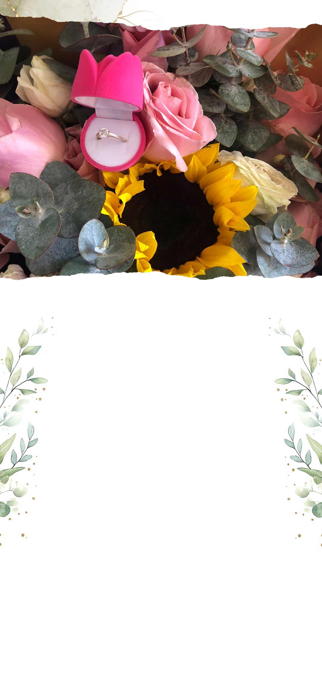Sección 3